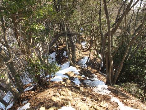 20160128hike (137)